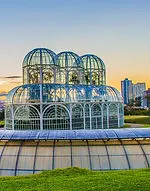 advogado-curitiba